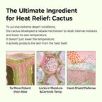Dr.Melaxin Cactox Pore Relief Multi Balm Stick — 5